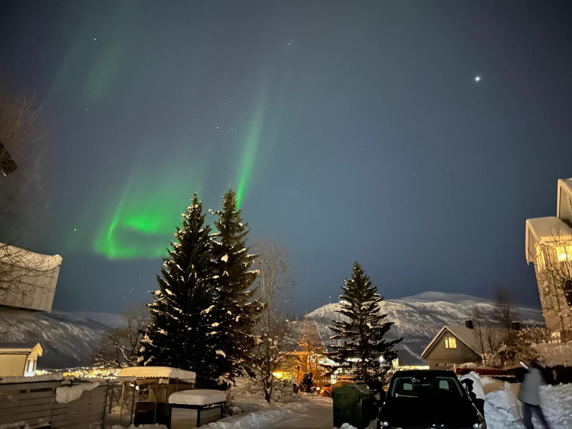 Arctic 3 Room Apartment - Aurora View - Free Parking Tromsø Dış mekan fotoğraf